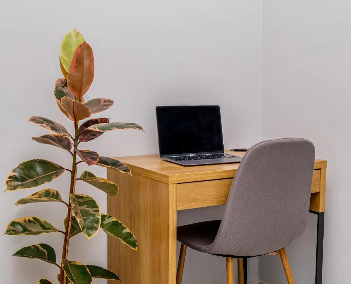 Apartment Cozy Studio In The City Center Thessaloniki Greece